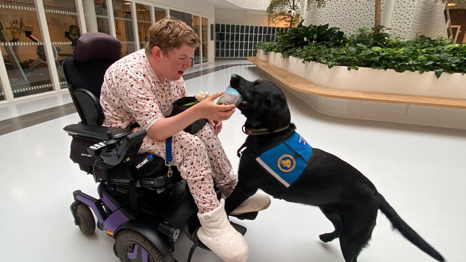 Bruger Simone og servicehunden Ludvig sammen