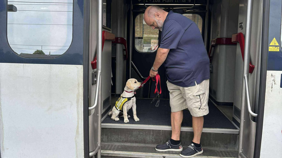 Træning af hvalpeaspirant Enya i et tog