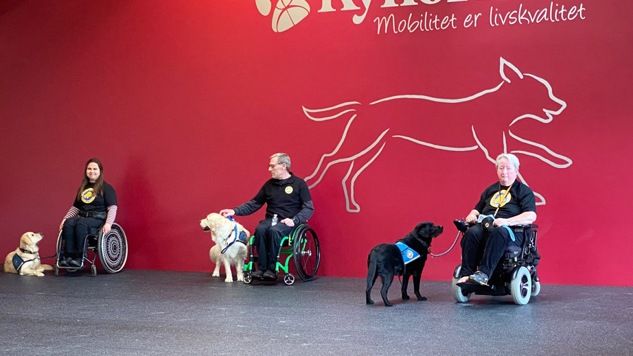 Opvisning med STH servicehunde og deres brugere