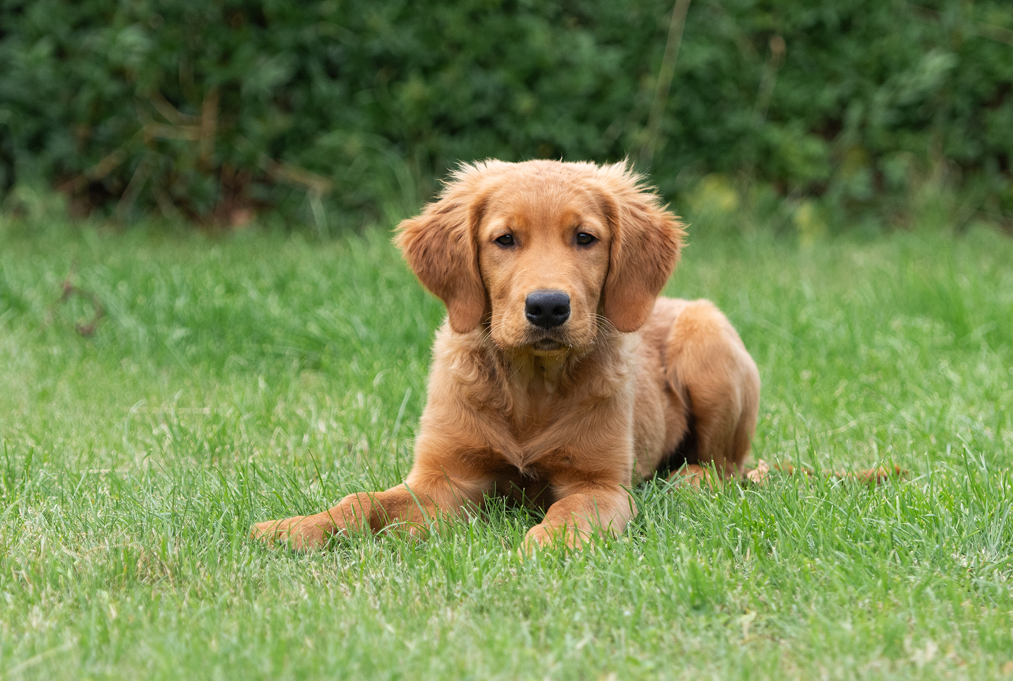 2023 Juli Enzo I Haven