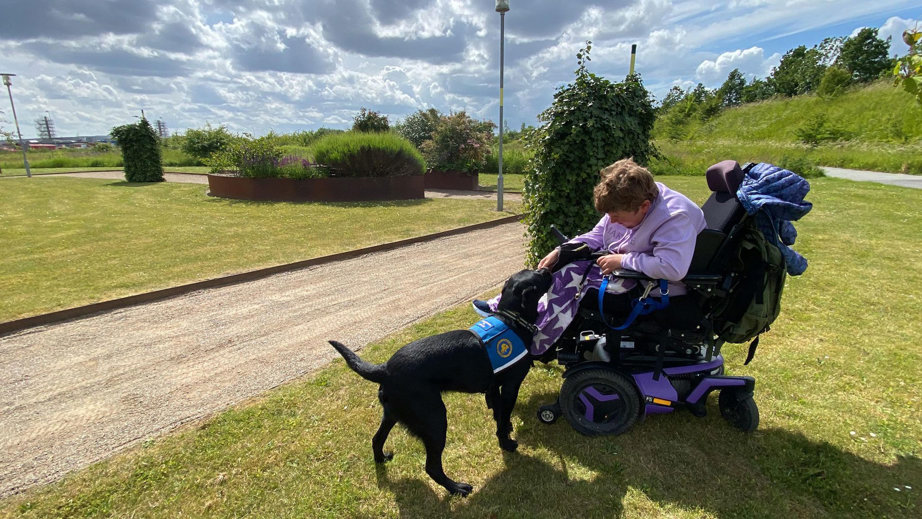 Servicehunden Ludvig og bruger Simone kigger på hinanden