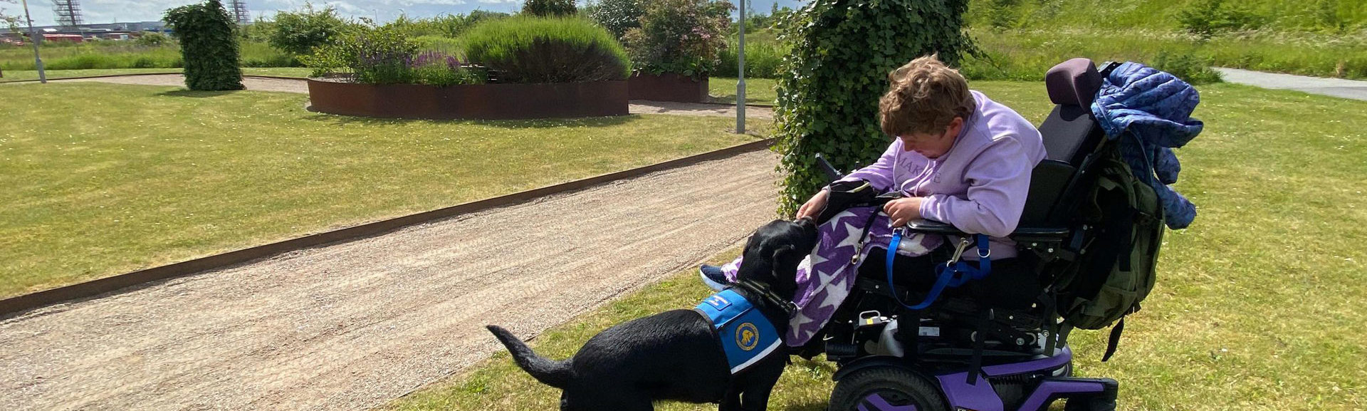 Servicehunden Ludvig og bruger Simone kigger på hinanden