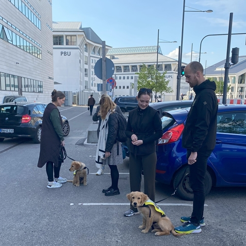 Maj 2024 2