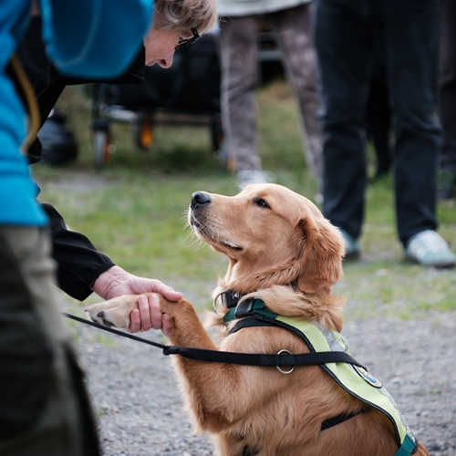 2023 09 30 STH Dog A Thon 2023 HQ 423