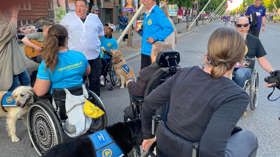 Servicehunde og brugere gør klar til at løbe Royal Run