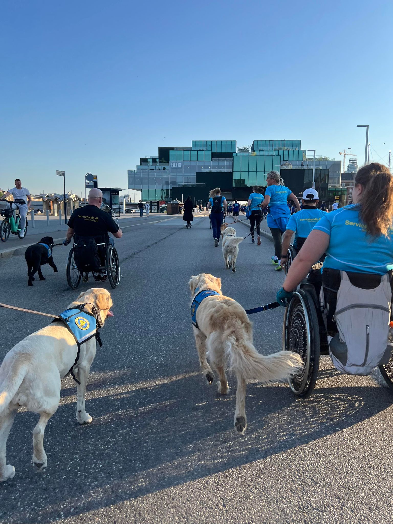 436667366 416848747895689 4917499767527843129 N (1)