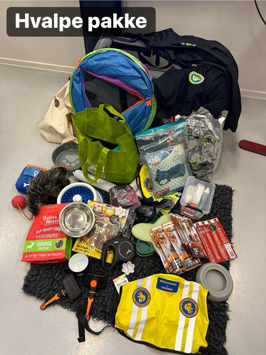 Hvalpepakke til hvalpeaspiranter