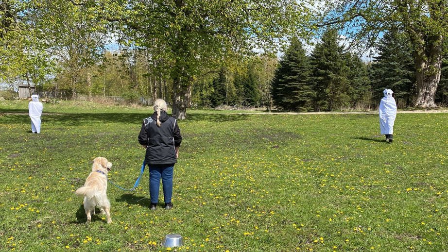 Servicehund MK til mentaltest