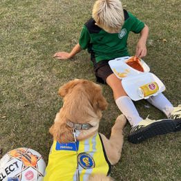 Servicehunden Daisy ligger på græsset sammen med en dreng der spiser pommes fritter