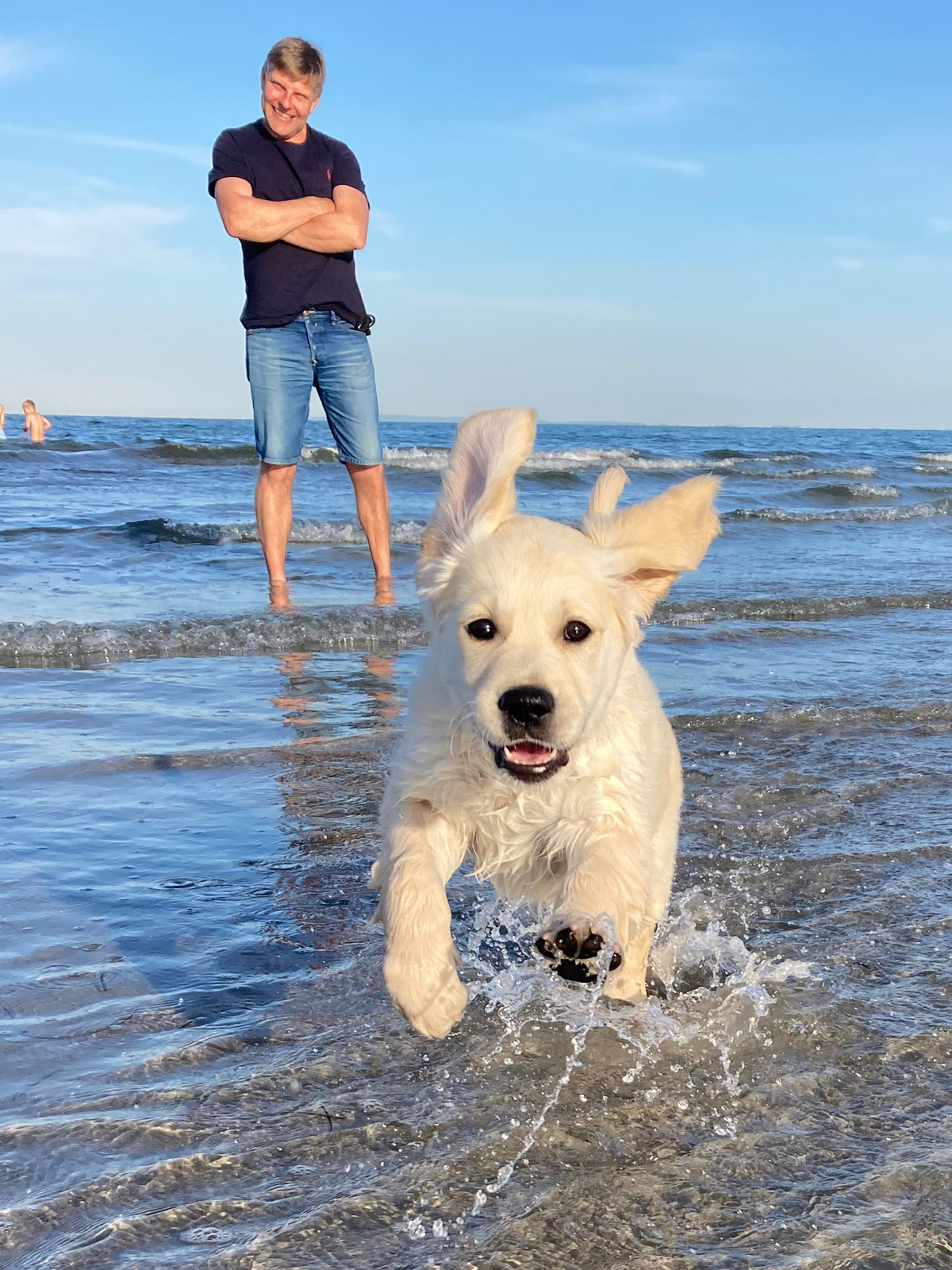 Hvalpeaspirant løber rundt i vand ved havet