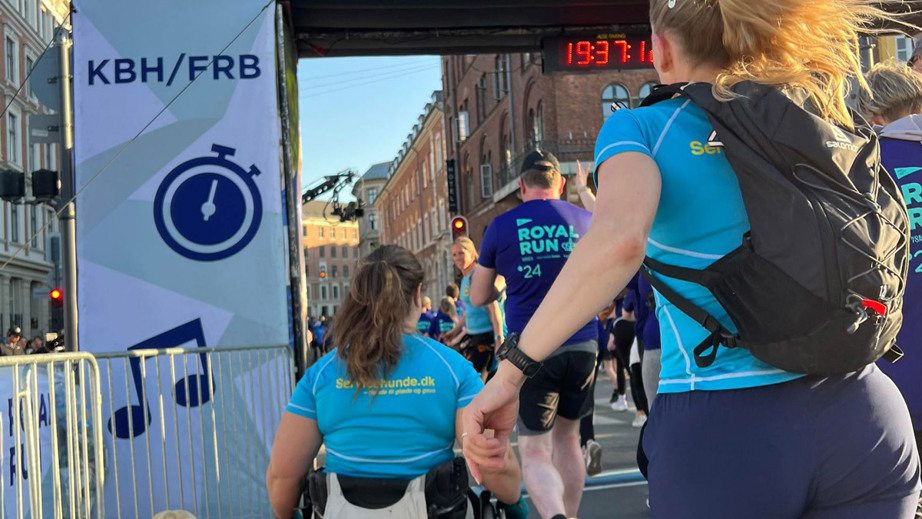 Servicehunde og brugere står klar ved start til at løbe Royal Run