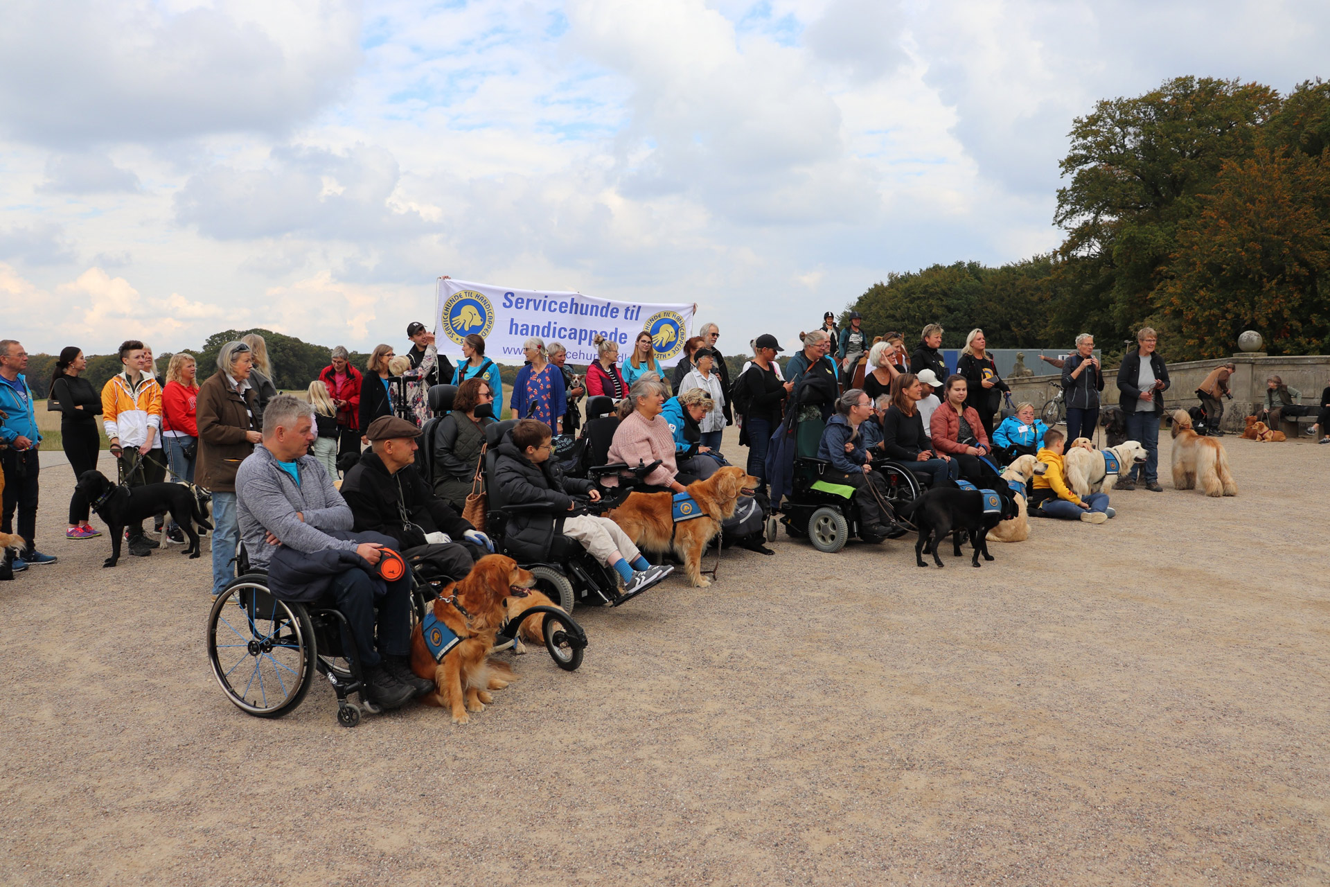 Servicehunde til handicappede på tur