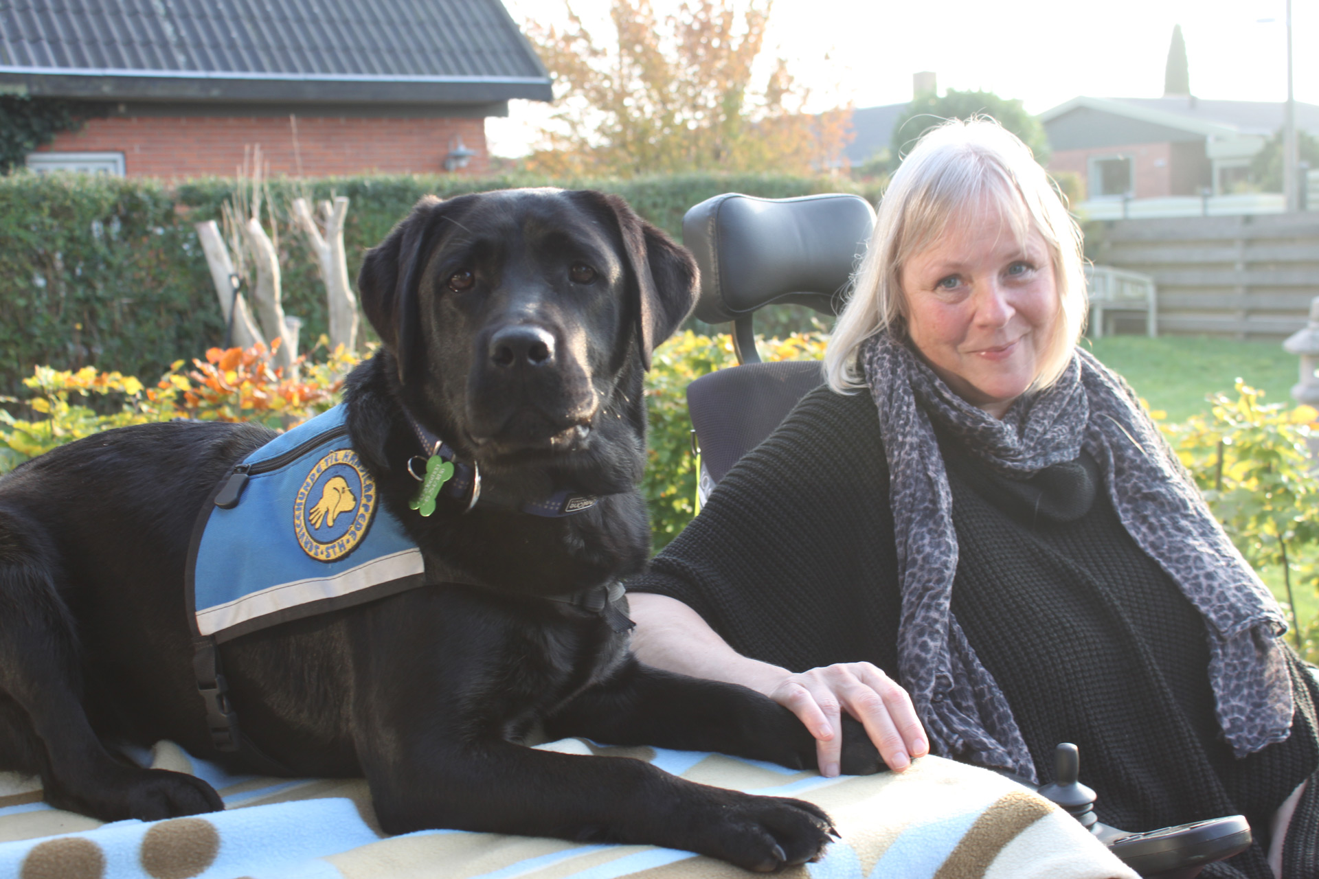 Helle og Chili Iii 2018