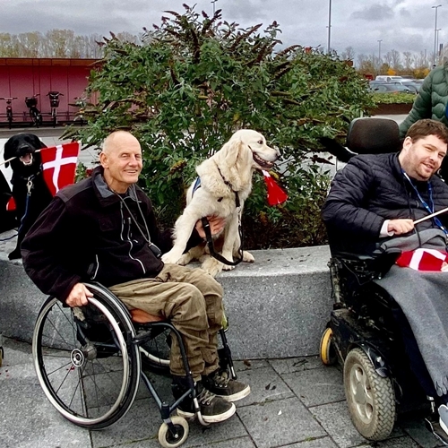 399291497 720678543422611 8389114008053866518 N