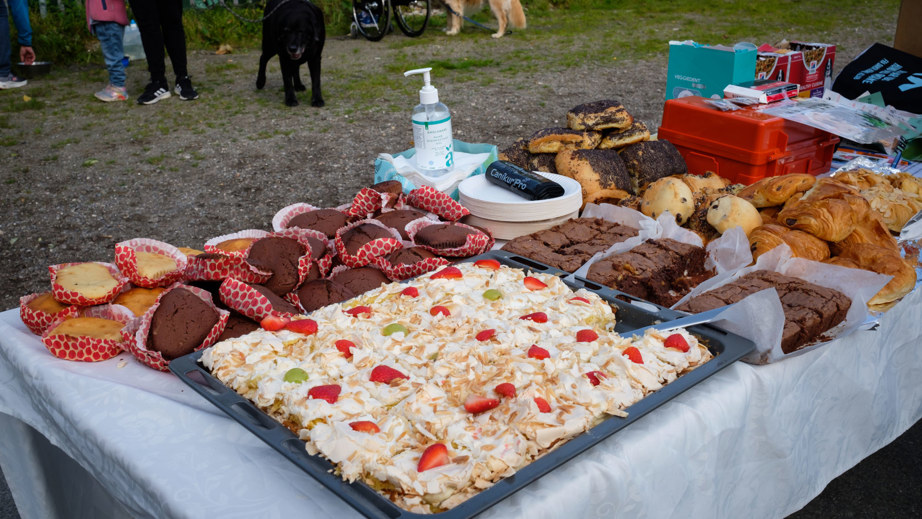 Kagebord til Dog A Thon