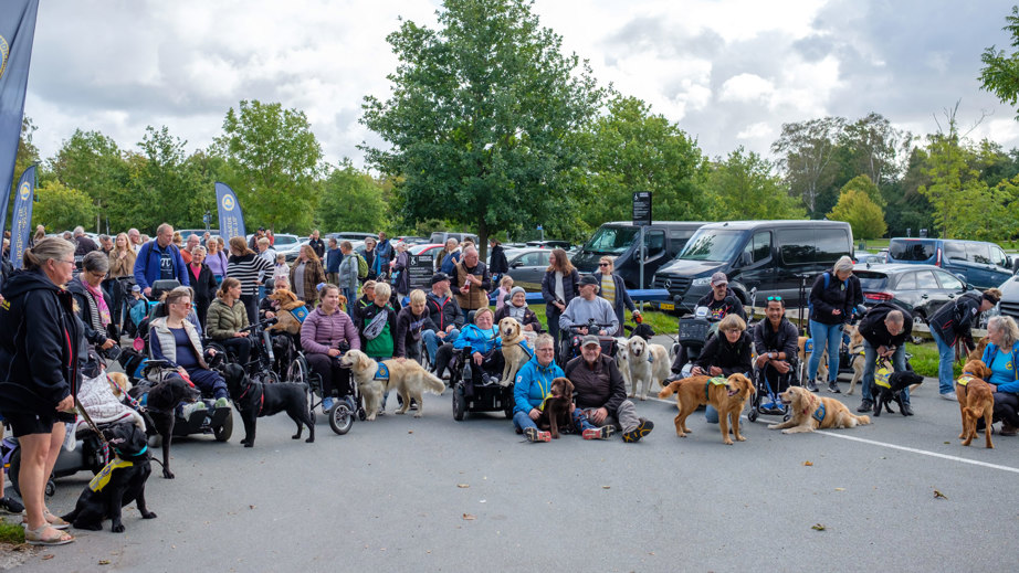 Fællesbillede på en parkeringsplads til Dog A Thon