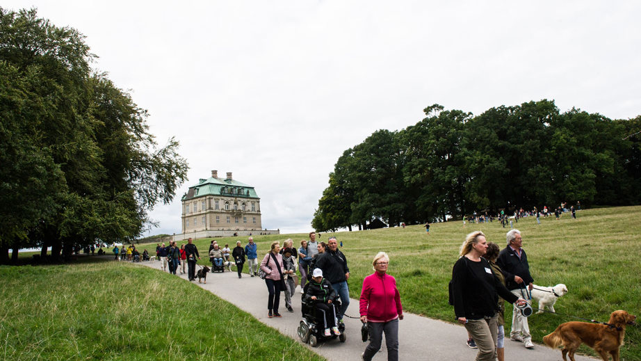 Dog A Thon alle går en tur sammen med servicehunde og deres instruktører