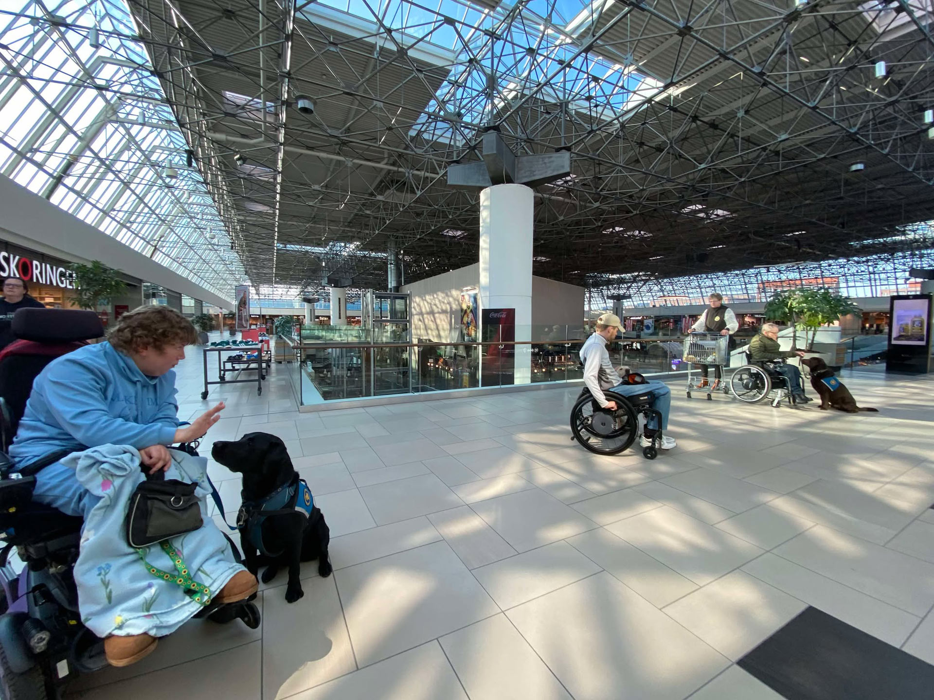 Servicehundene Ludvig, Mc Kinney Og Teton i et shoppingcenter