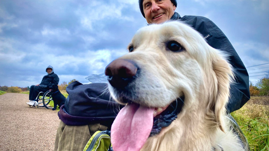 Bruger Buster og servicehunden Stormy på tur sammen