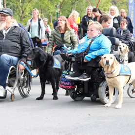 Flere servicehunde og brugere på tur med deres familier