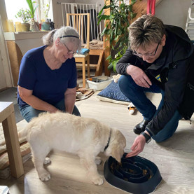 Hundeinstruktør sammen med hvalpevært og hvalpeaspirant