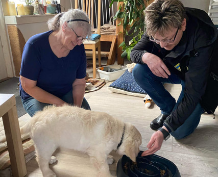 Hundeinstruktør sammen med hvalpevært og hvalpeaspirant