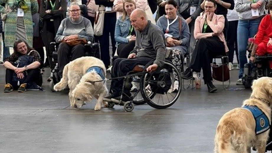 Opvisning af STH til messestand