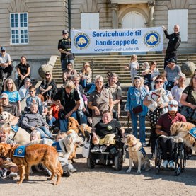 Der gøres klar til et fællesbillede til Dog A Thon