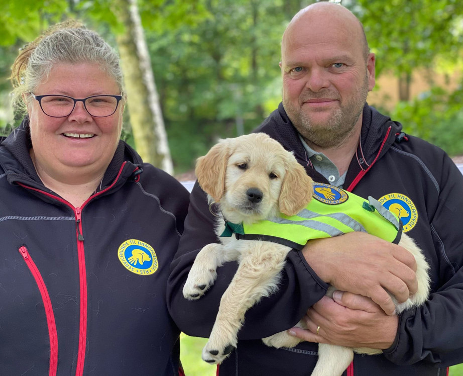 Hvalpeaspirant armene på to hvalpeværter