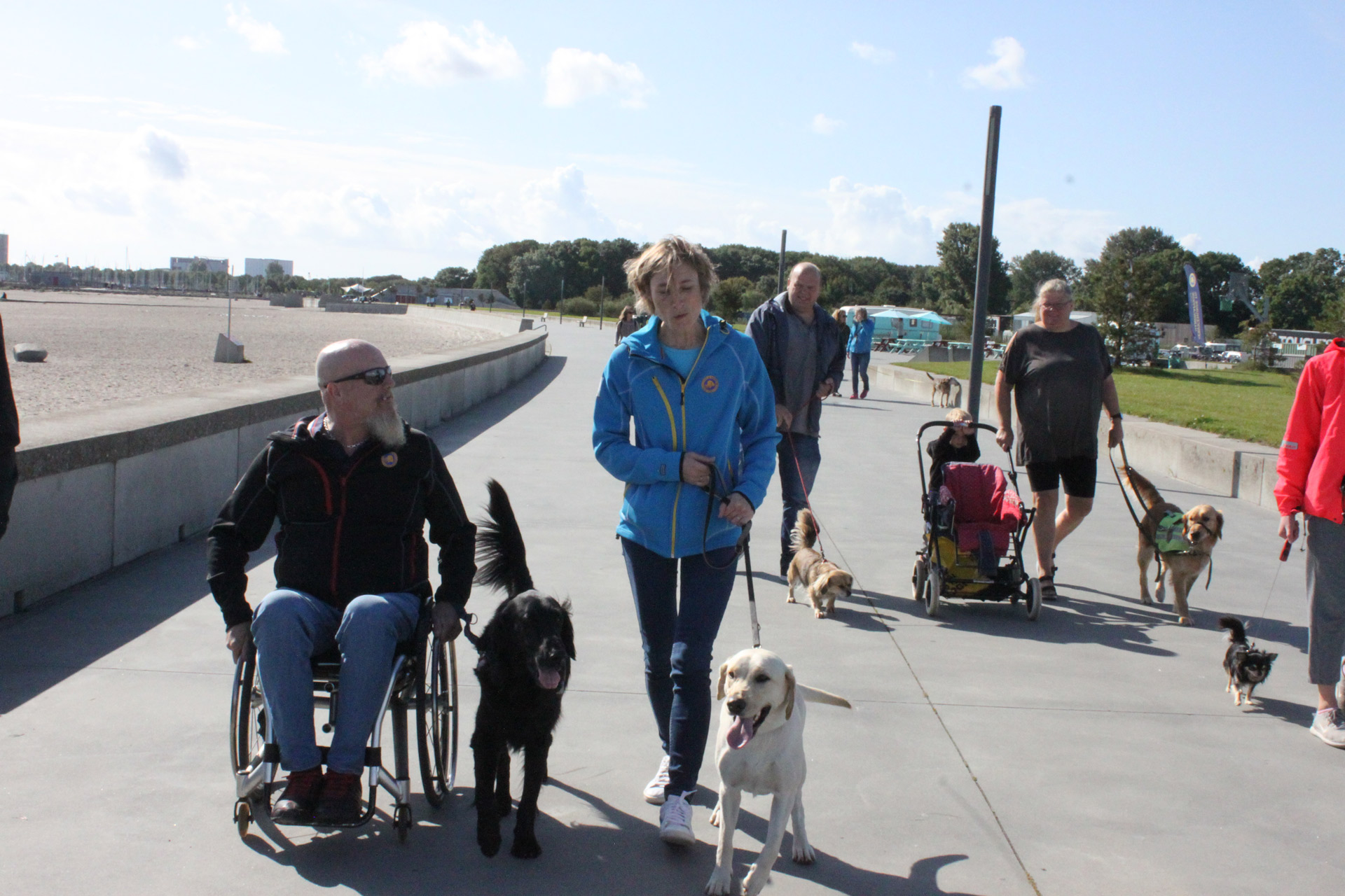 Bestyrelsesmedlemmer og brugere på tur udenfor med servicehunde ved stranden