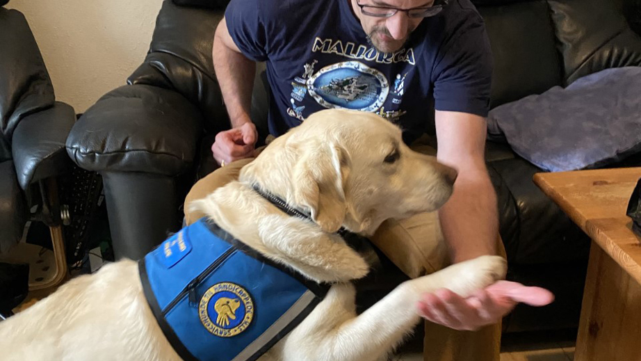 Servicehund giver pote 