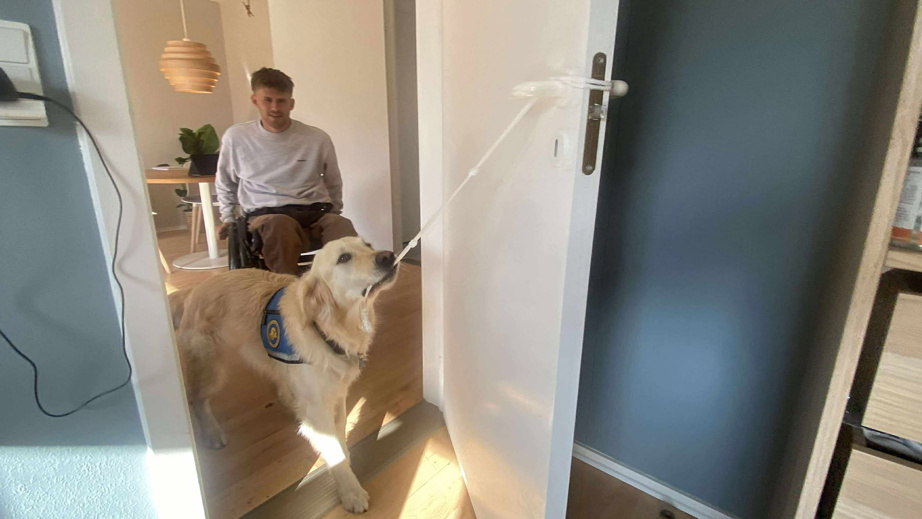 Servicehunden Mc Kinney lukker en dør med et reb i munden