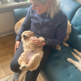 Hundeinstruktør sidder i en sofa med hvalpeaspirant Pippi der sover på ryggen