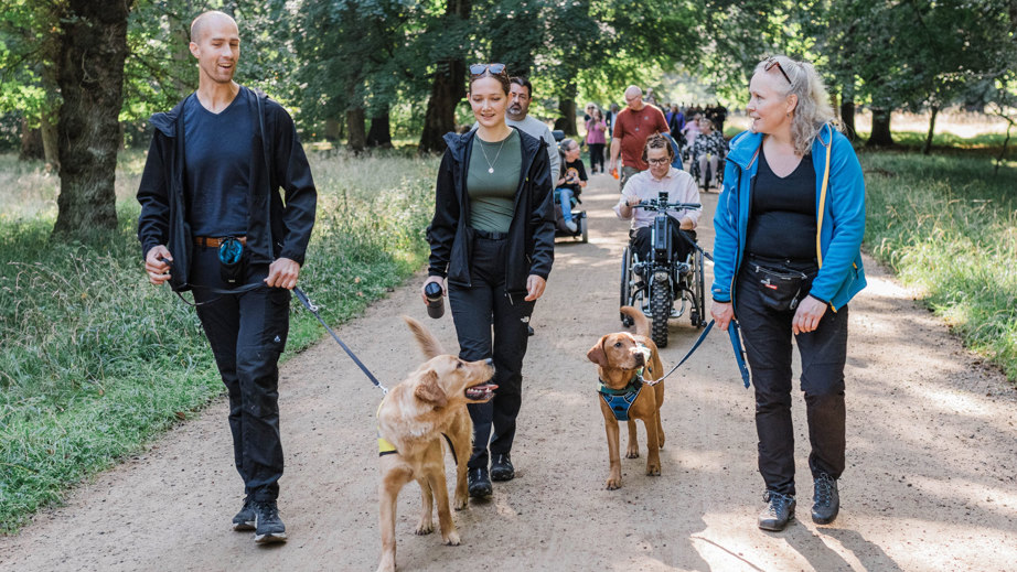 Hundeinstruktører og servicehunde der går sammen i skoven