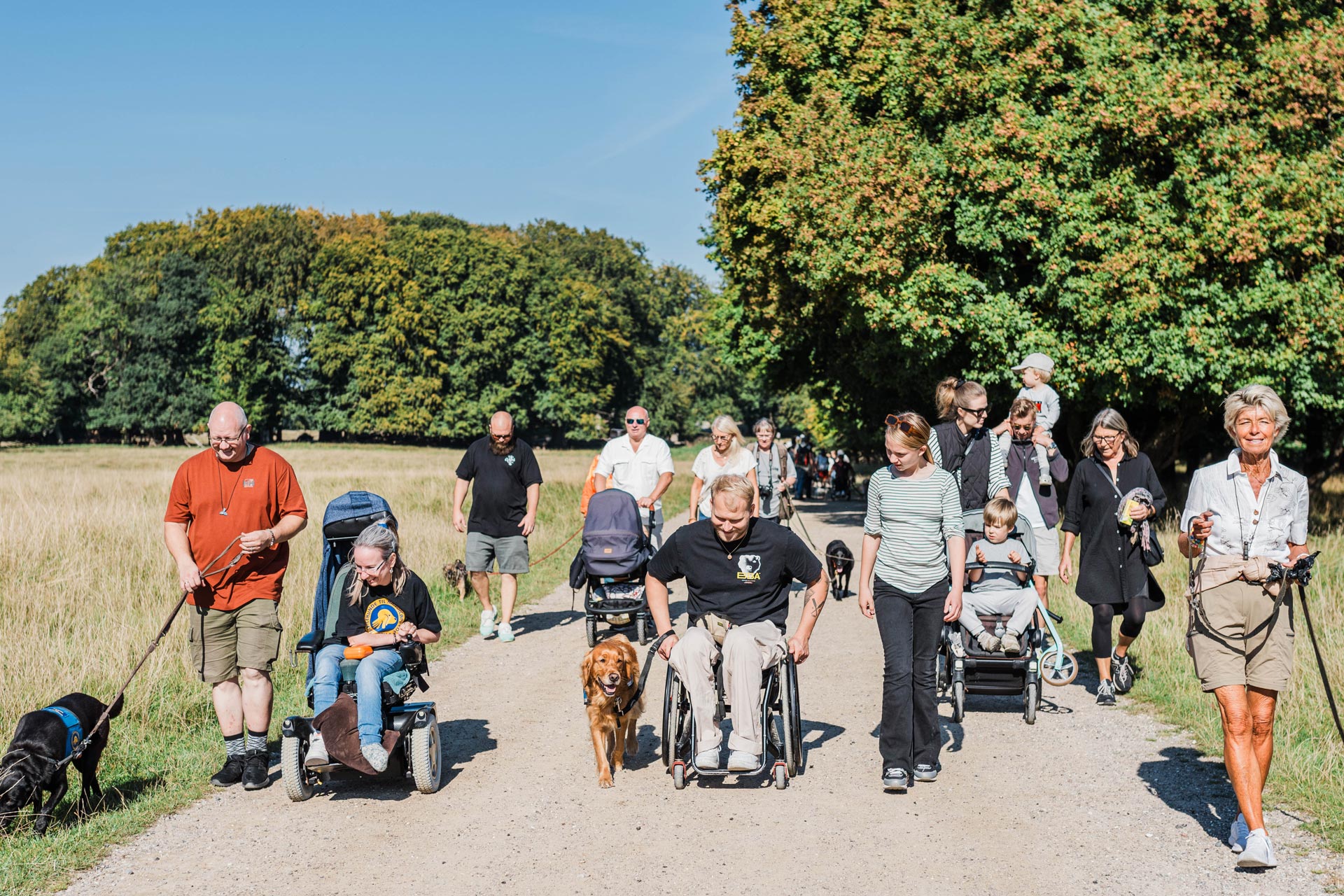 Servicehunde på tur i solskinsvejr til Dog A Thon 
