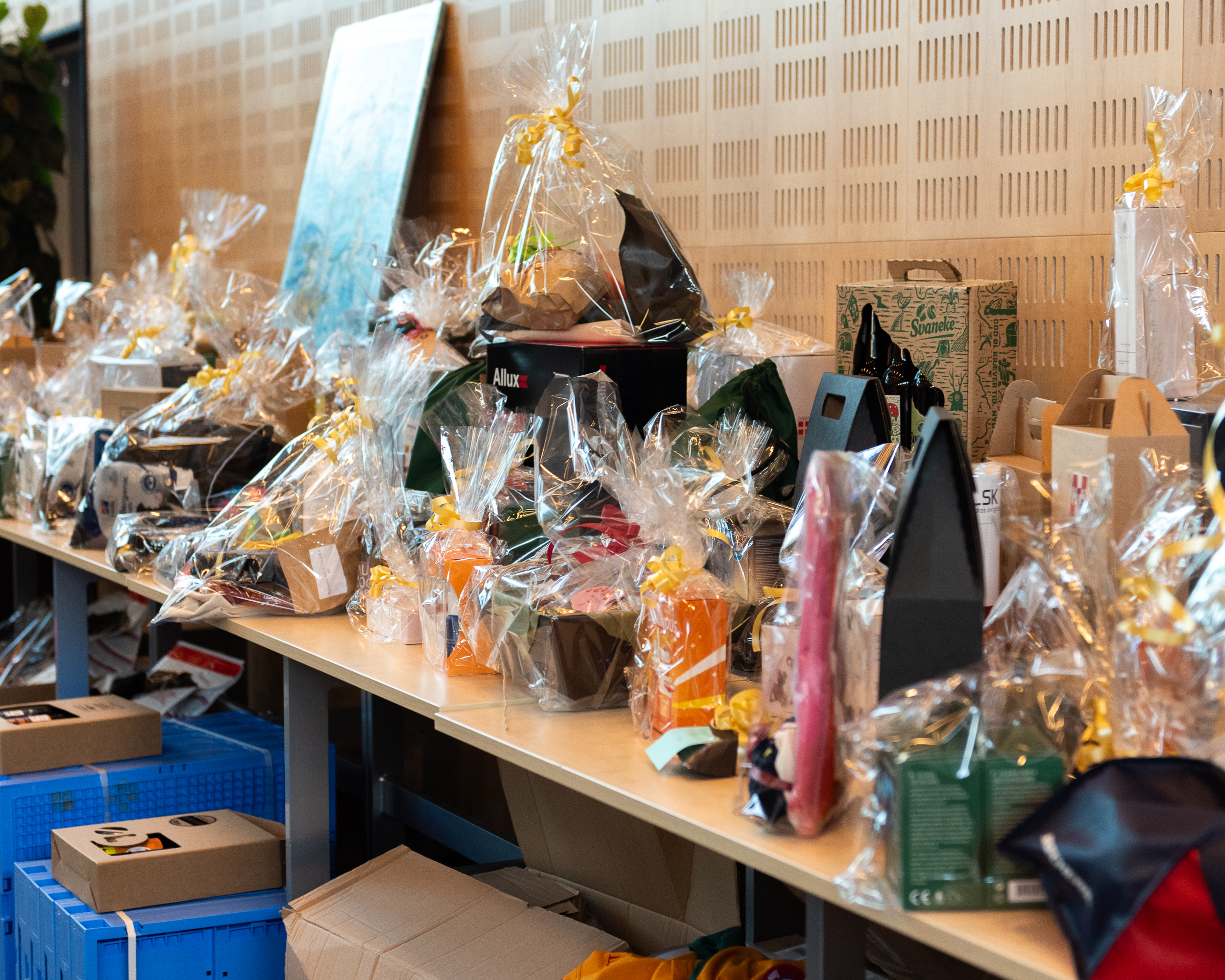 24.11.30 Hunde Og Handikatforeningen 5485