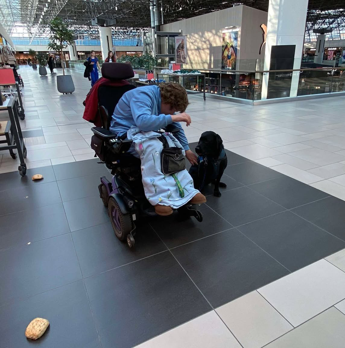 Simone og servicehunden Ludvig til hundetræning i et shoppingcenter