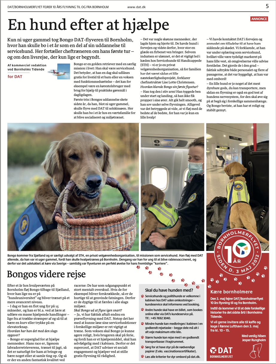Billede af en artikel omkring servicehunden Bongos videre rejse