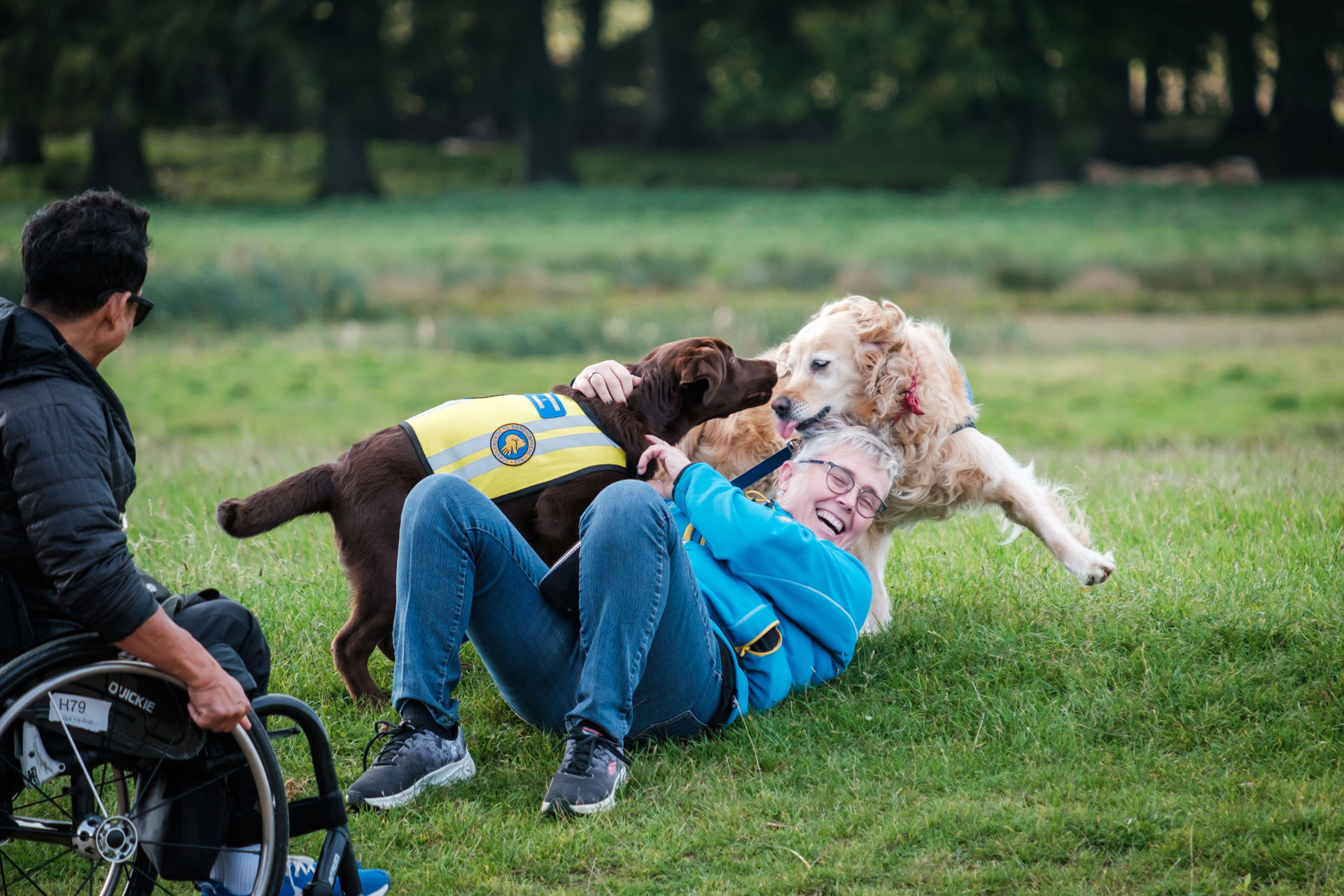 To servicehunde der leger med en hundeinstruktør til Dog A Thon
