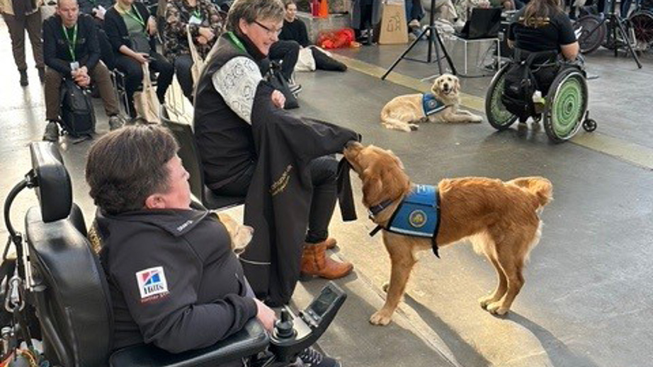 Servicehund og bruger viser hvad de kan på en messe