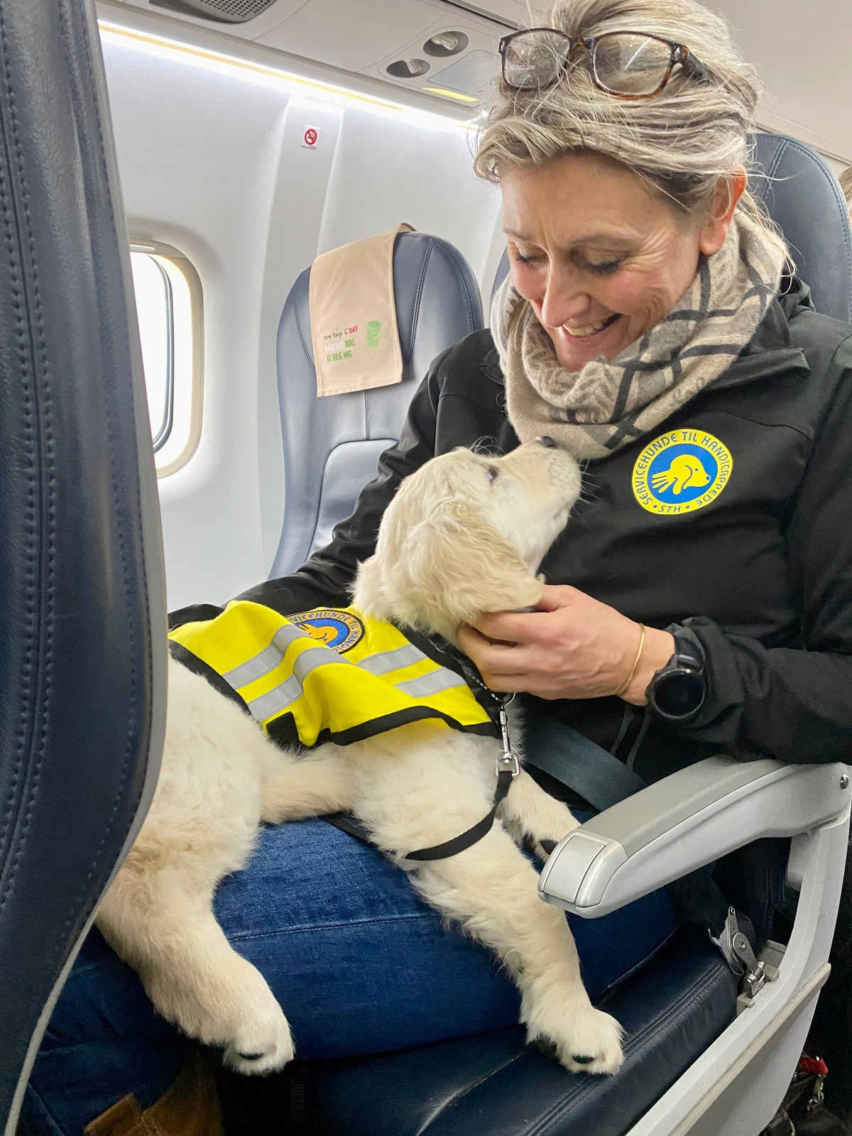 Instruktør med hvalpeaspirant i en flyvemaskine