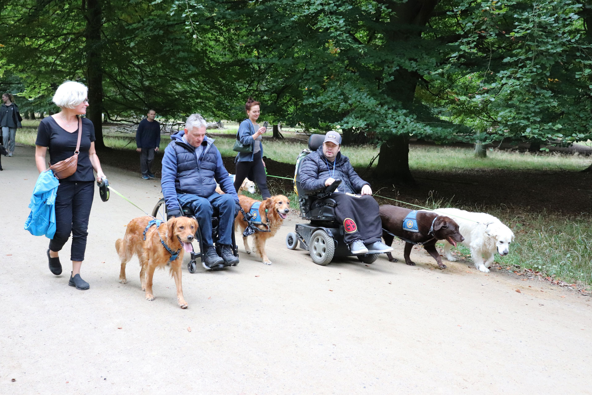 Brugere og servicehunde på tur i naturen