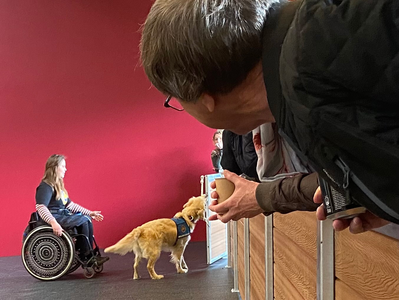 E servicehund og bruger der går væk fra scenen