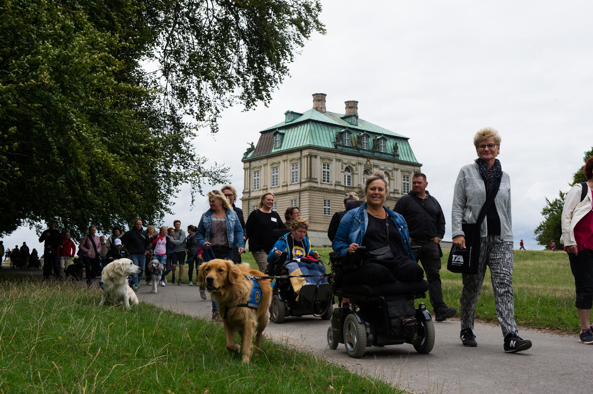 Fællesbillede fra en gåtur med servicehunde og hundetrænere til Dog A thon