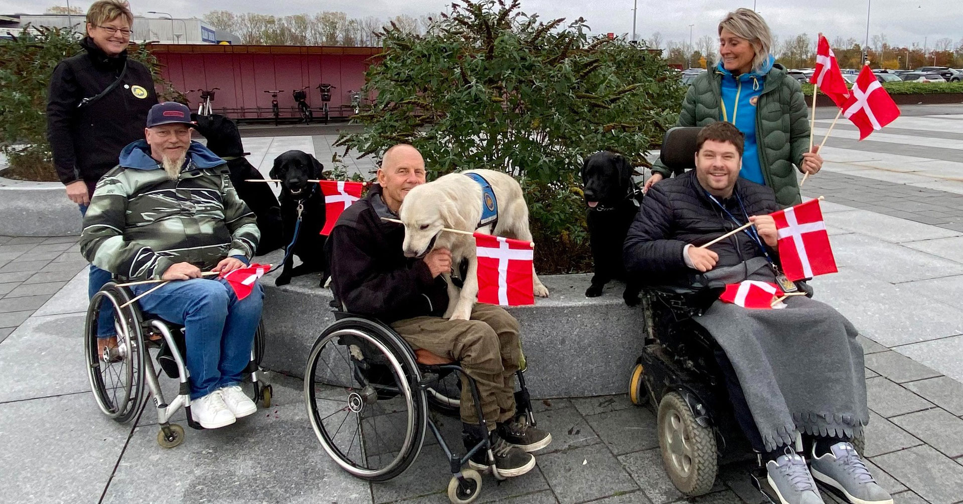 Servicehunde med flag i munden og står sammen med brugere og instruktører