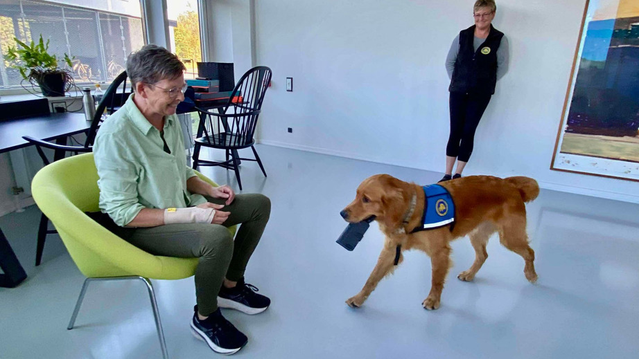 Træning med servicehund Rover og bruger Betina med en hundeinstruktør