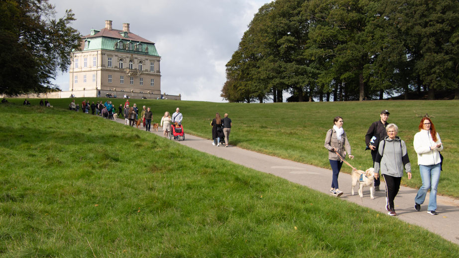 Gåtur langs en sti med en flot stor bygning i baggrunden til Dog A Thon