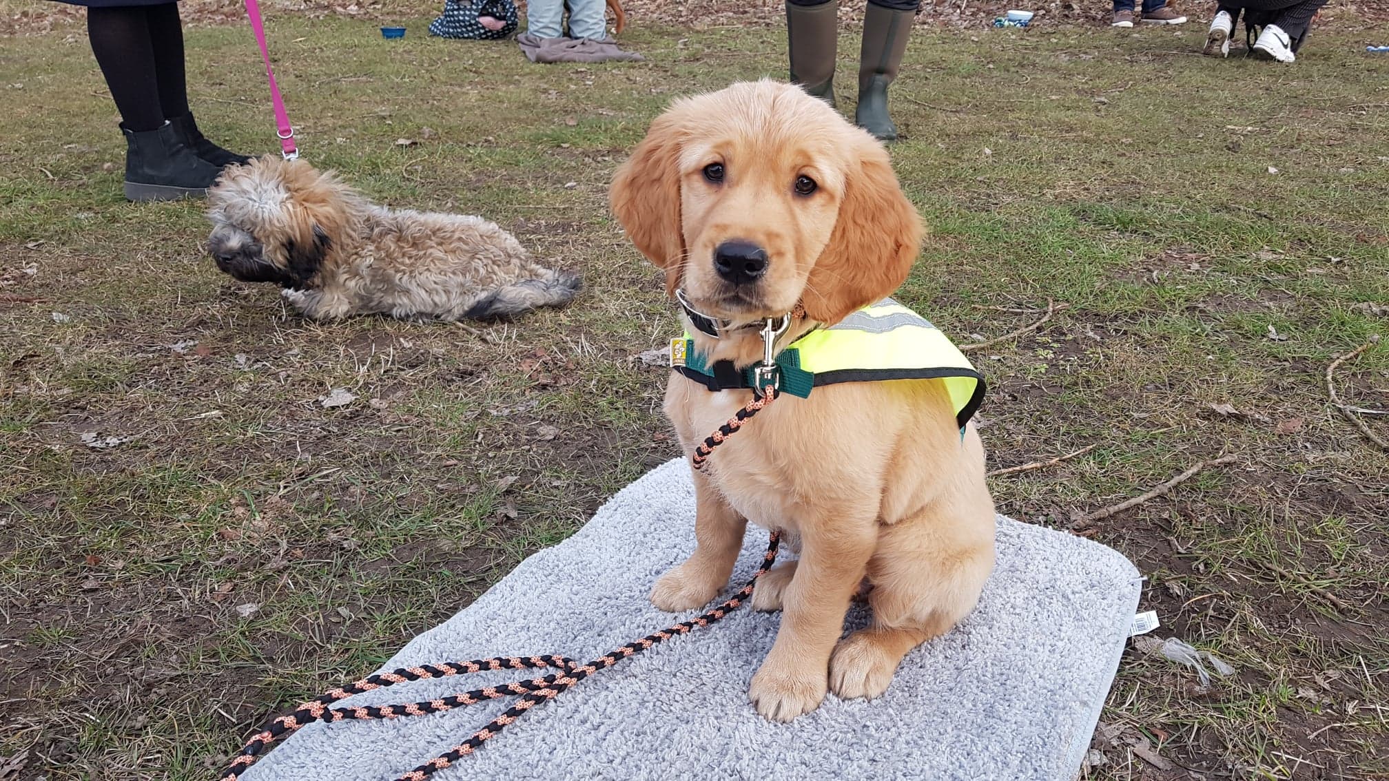 163855852 758218874879729 6606497118410768951 N