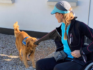 Servicehunden Forza til hundetræning og tager jakken af en hundetræner
