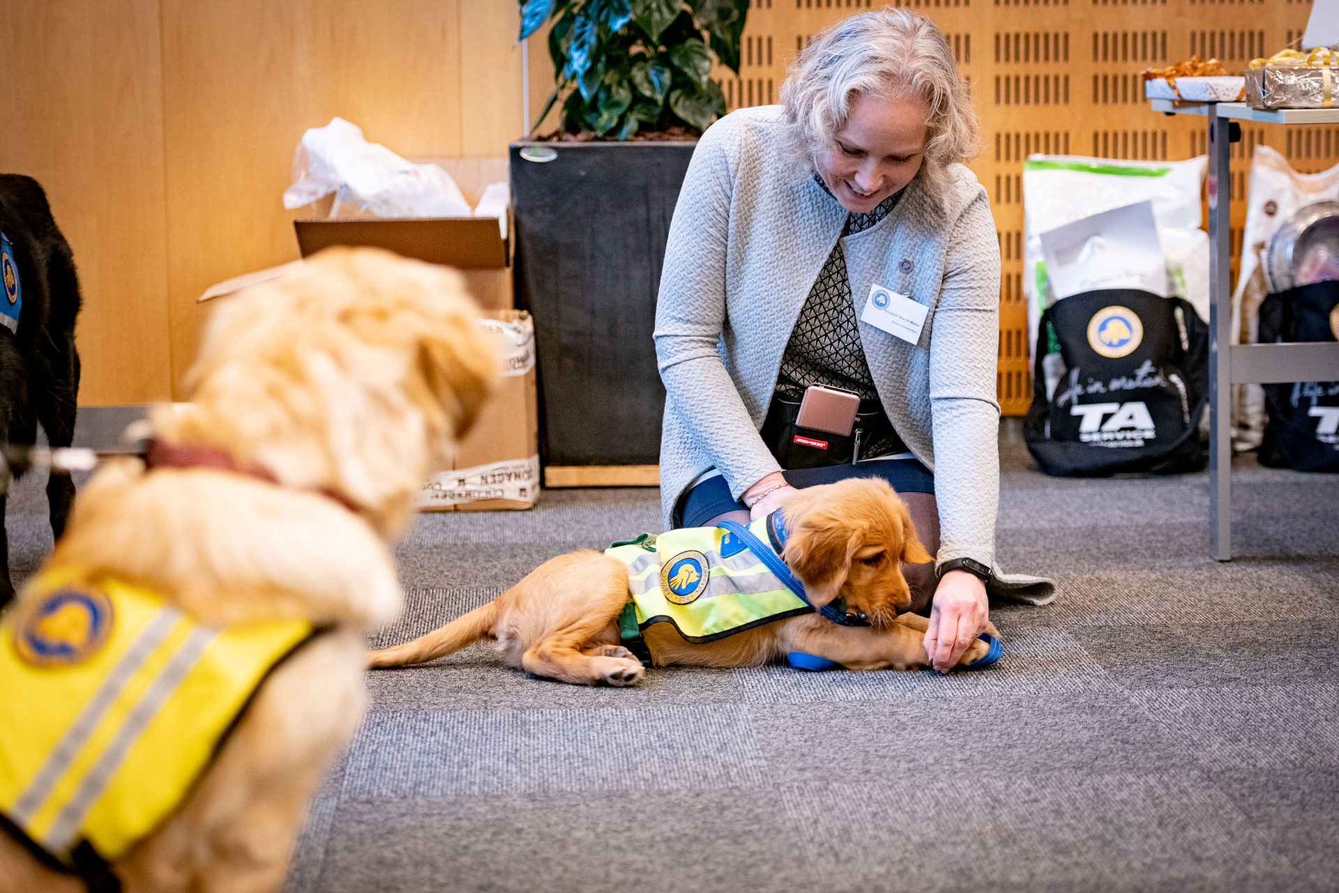 Bestyrelsesmedlem sammen med en hvalpeaspirant og en servicehund
